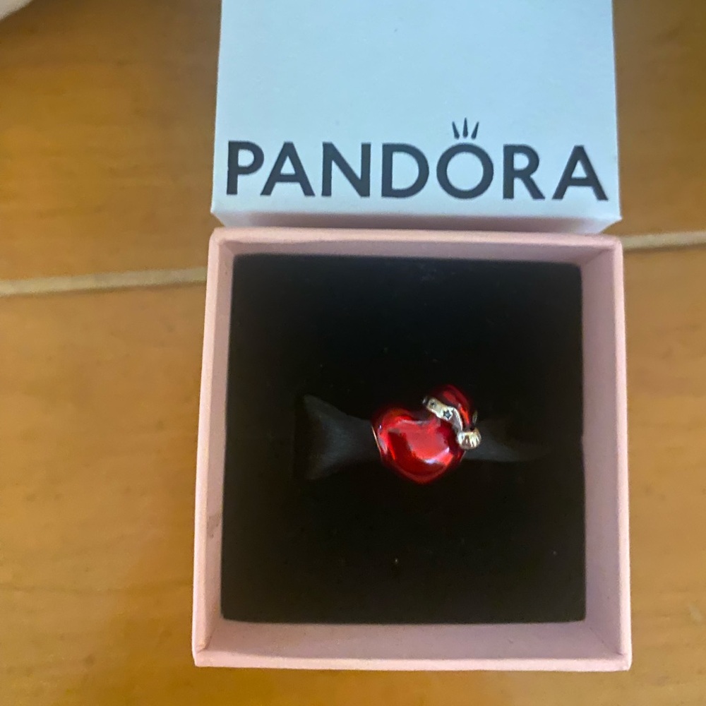Pandora Christmas Charm